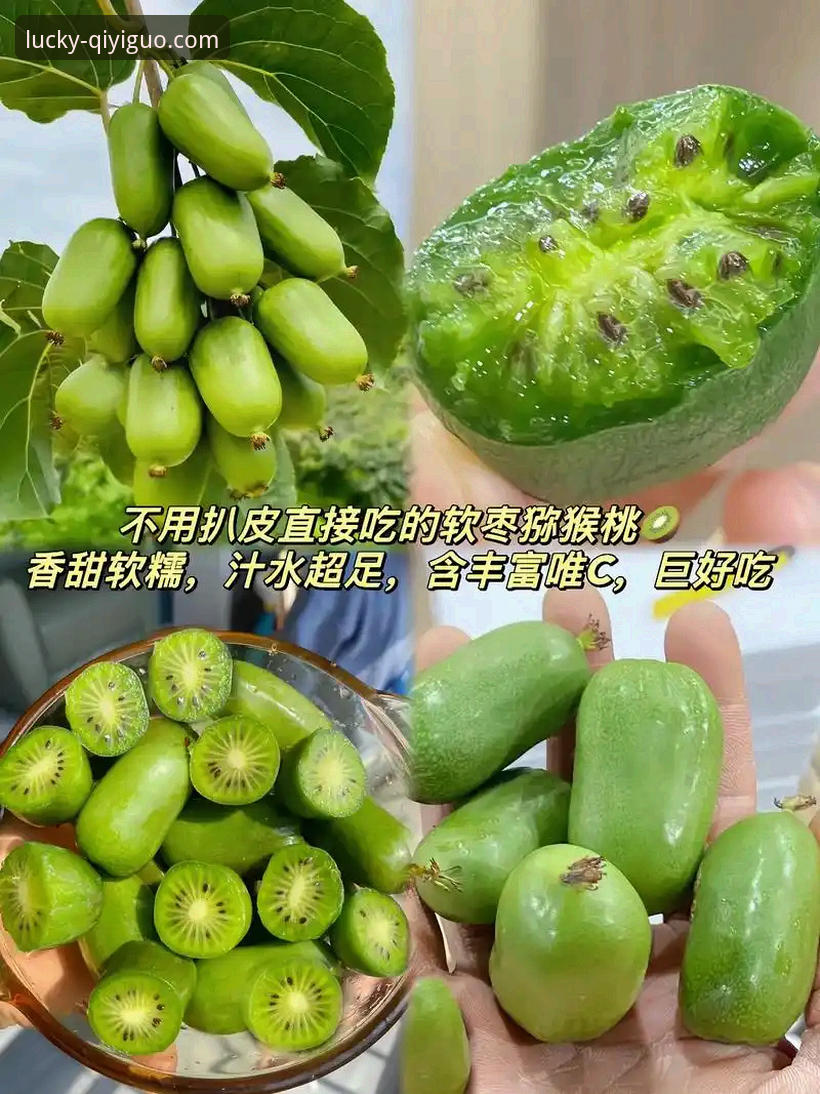 7大核心功能带你全面掌握奇异果体育安卓版使用技巧